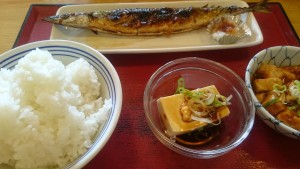 さんま・麻婆豆腐・冷奴・ご飯大-瑞浪中央食堂1