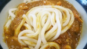 カレーうどんの麺-本場讃岐うどんたじみ庵